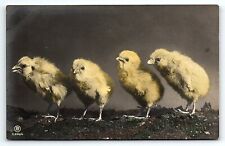 c1910 SUPER CUTE LINE OF BABY CHICKS HAND TINTED RPPC POSTCARD P3650 picture