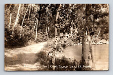 RPPC Pine Cone Camp Promenade Trail Road Dorset MN Postcard picture