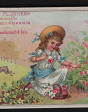 TROY NY TRADE CARD, G.V.S. QUACKENBUSH & CO, LG RABBIT & PRETTY LITTLE GIRL *78* picture
