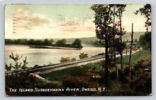 c1910 Rotograph The Island Susquehanna River Owego New York P763 picture