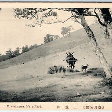 c1910s Nara Japan Mount Wakakusayama Wakakusa Deer Grass Hill Collo Postcard A55 picture