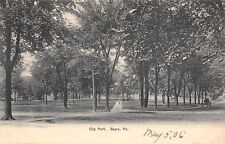 Sayre Pennsylvania~Trolley Tracks Curve By City Park~Buggy~Boy on Path~1906 PC picture