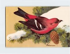 Postcard White-Winged Crossbill Bird by Peterson picture