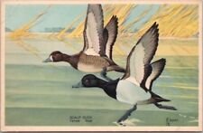 1939 National Wildlife Federation Postcard 