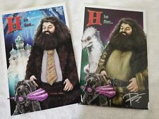Harry Potter 9X10 {2} Hagrid  Art Print GEEK GEAR WIZARDRY Regular and Variant picture