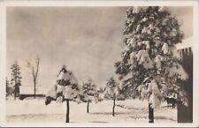 RPPC Postcard McNary Arizona Winter Snow Scene 1931 picture