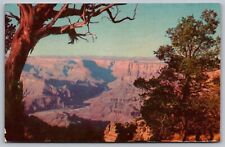 Postcard Grand Canyon National Park Arizona National Landmark Chrome UNP picture