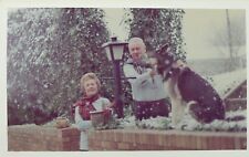 3 Vtg German Shepherd Christmas Photos Dog Snow 70s Card Mature Couple Snapshots picture