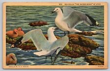 Postcard UT Utah Seagulls The Sacred Birds Linen UNP A22 picture