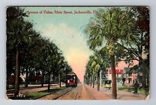 Jacksonville FL-Florida, Avenue Of Palms, Main Street, Vintage c1911 Postcard picture