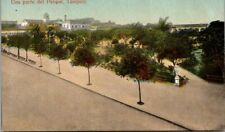 Postcard Una Parte Del Parque Tampico 1913 Divided Back picture