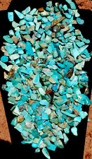 Turquoise tumbled 1 pound medium 1/4 to 1 inch southwestern kingman  bisbee picture