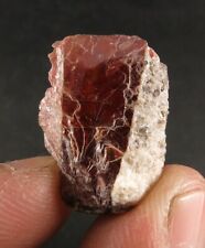 33 CARAT RARE DEEP RED TANTALITE CRYSTAL FROM AFGHANISTAN  picture