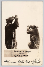 RPPC Punch & Judy Performing Bears At The Gateway Delaware Water Gap NJ 1933 PC picture