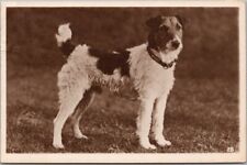 Vintage 1929 JACK RUSSELL TERRIER Dog Postcard 