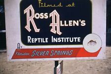 35mm Slide 1950s Red Border Kodachrome Ross Allen's Reptile Sign Silver Springs picture