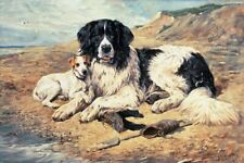Dream-art Oil painting John+Emms-Dogs+Watching+Bathers dogs in landscape canvas picture
