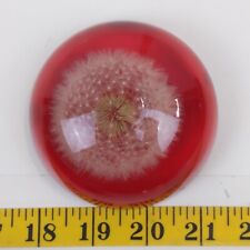Vintage Lucite Paperweight Acrylic Art Dandelion Red Jeanne Ocker Home Decor   picture
