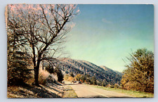 Vintage PostcardNewfound gap Great Smoky Mountains park Newport Tennessee picture