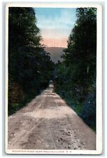 c1920's Mountain Dirt Road Grove Near Melvin Village New Hampshire NH Postcard picture