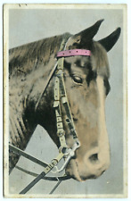 Horse Head Portrait Vintage Art Postcard picture