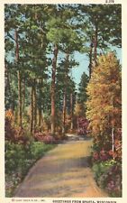 Postcard WI Sparta Wisconsin Greetings Rural Fall Foliage Vintage PC J3650 picture
