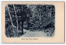 c1905's Forest Lake Park Pathway Scene Dalton New Hampshire NH Unposted Postcard picture