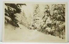 NY Lake Placid Club Snow Covered Road Scene RPPC Real Photo Stedman Postcard J5 picture