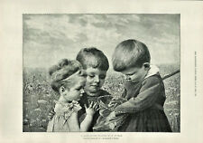 Antique B&W Illustrated Print A Good Catch Children & Butterfly By F Dvorak 1889 picture