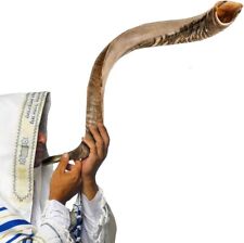 Shofar Kudu Horn Instrument S 24