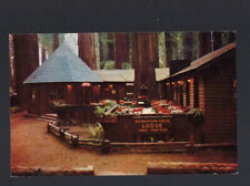 c.1960s Richardson Grove Lodge State Park Redwood Highway California CA Postcard picture