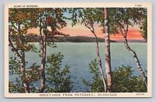 Petoskey Greetings Michigan Glory of the Morning Lake View Linen VTG Postcard picture