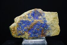 Azurite / 8cm Mineral Specimen / Yellow Hammer Mine, Utah picture