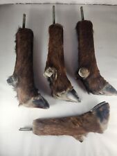 Vintage Water Buffalo leg set of 4 Foot Taxidermy  picture