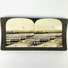 Antique WWI Photos Keystone View Co Stereograph The American Cemetery 19250 picture