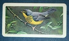 CANADA WARBLER   Vintage 1960's Colour Card  picture