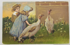 1908 THANKSGIVING GREETINGS Girl Petting Turkeys Embossed Postcard picture