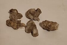 Small Herkimer Diamond Clusters on Matrix From New York Natural Lot of 5 10.7g  picture
