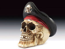 Pirate Captain Skull Figurine Statue Skeleton Halloween picture