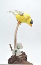 American Gold Finch Bird life size scupture,fine Wood Carving picture