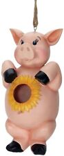 Spoontiques 10169 Pig Resin Birdhouse picture