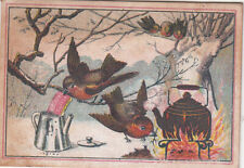 McLaughlin's XXXX Roasted Coffee Chicago Birds Camp Fire Pot Vict Card c1880s picture