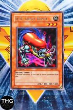 D. D. Crazy Beast MFC-019 1st Edition Rare Yugioh Card picture