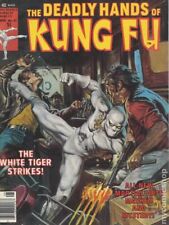 Deadly Hands of Kung Fu #27 VG 1976 Stock Image picture