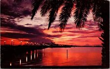 Clearwater Bay Scenic Tropical Sunset Clearwater Beach Florida Chrome Postcard picture
