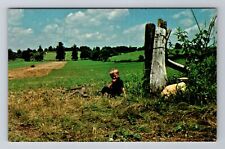Holmes County OH-Ohio, Amish Farm Scene, Antique, Vintage Souvenir Postcard picture
