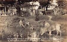 J81/ Pittsburg New Hampshire RPPC Postcard c1910 Topsy Deer Baldwins 210 picture