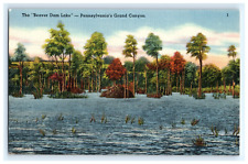 Vintage Postcard Beaver Dam Lake Pennsylvania's Grand Canyon Lovely picture