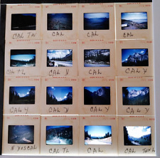 VTG 1962 35mm Slides Family Vacation California Yosemite & more Lot of 16 #21827 picture