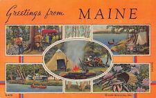 Maine ME Greetings From Larger Not Large Letter Linen 9A-H2244 Postcard picture